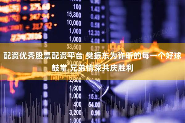 配资优秀股票配资平台 樊振东为许昕的每一个好球鼓掌 兄弟情深共庆胜利