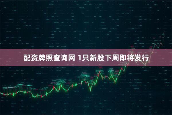 配资牌照查询网 1只新股下周即将发行