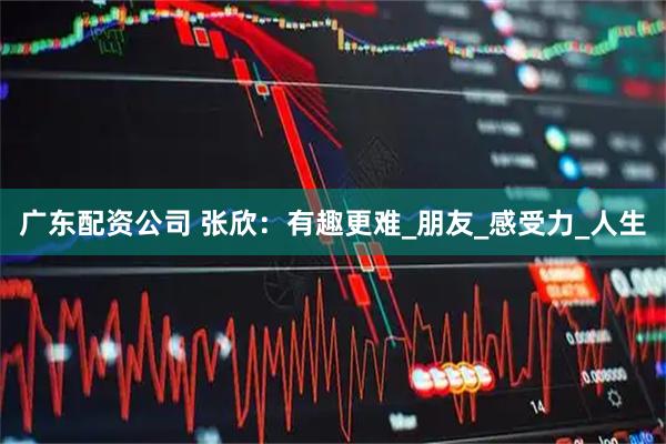 广东配资公司 张欣：有趣更难_朋友_感受力_人生