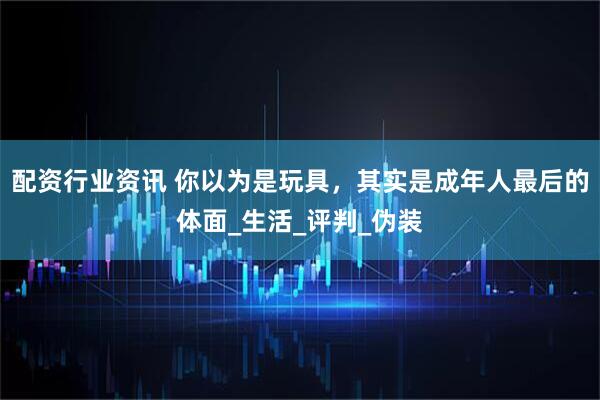 配资行业资讯 你以为是玩具，其实是成年人最后的体面_生活_评判_伪装