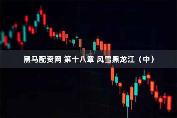 黑马配资网 第十八章 风雪黑龙江（中）