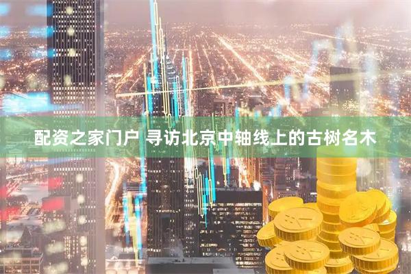 配资之家门户 寻访北京中轴线上的古树名木